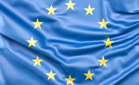 Nuovo regolamento europeo sulle revisioni